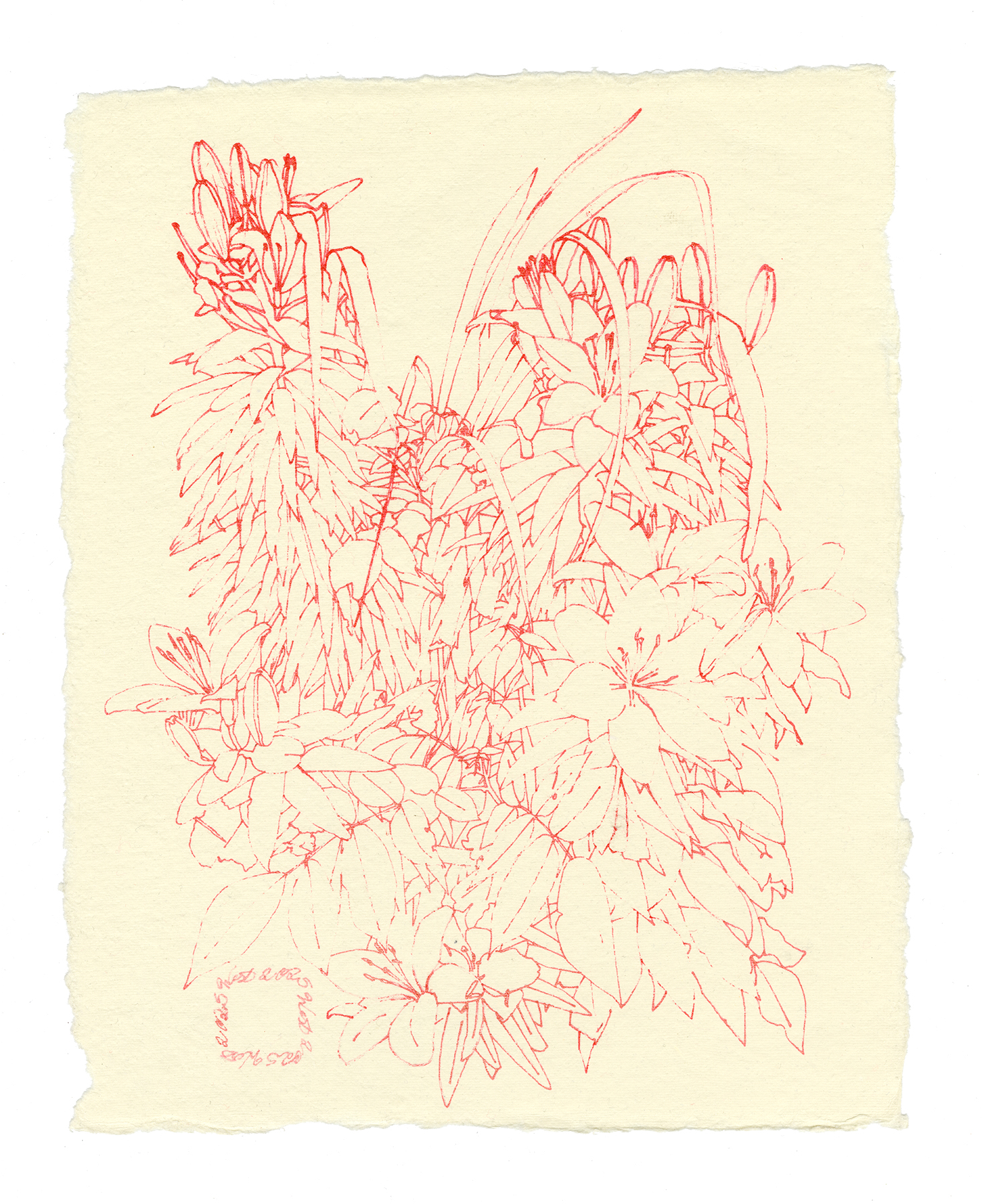 Red Flowers